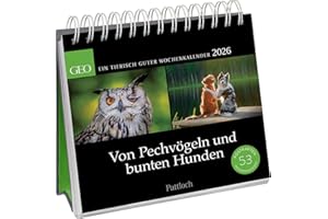 Postkartenkalender 2026: Von Pechvögeln und bunten Hunden: Ein tierisch guter Wochenkalender | Zum Aufstellen, Tischkalender mit Spiralbindung und 53 Postkarten zum Heraustrennen