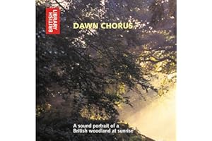 Dawn Chorus: A Sound Portrait of a British Woodland at Sunrise
