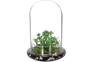 OGANAZI Mini Pflanzenterrarium Glas Sukkulenten Topf, Klare Glaskuppel mit 3 mm Luftloch, Deko Glasglocke mit Glasboden, Tischdeko Geschenk für Büro Arbeitszimmer Wohnzimmer (14,5x21 cm,Ohne Pflanzen)