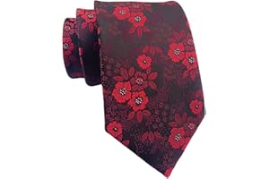 marysgift Ties for Men Formal Classic Paisley Business Wedding Necktie for Wedding Party Prom - 57.48" x 3.15"(146cm*8cm)