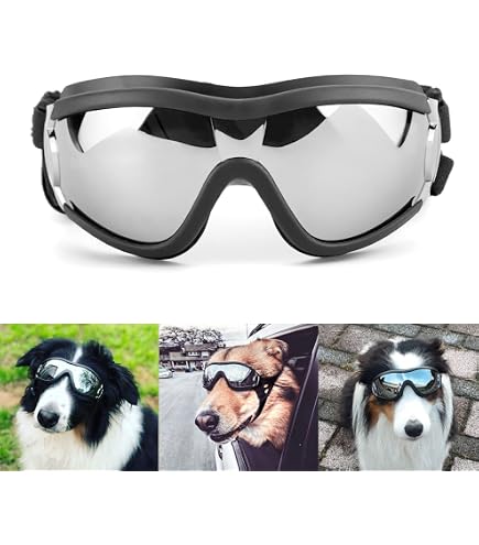 Produktbild von 1PC SchöNe Haustier Katze Gläser Hund Brille Haust... – Grandado