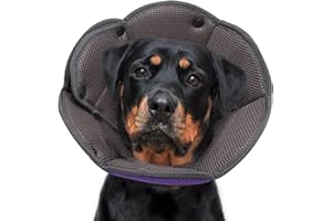 HJYOKUSO Collare Elisabettiano per Cane Gatto,Collare A Cono Per Cani Morbido,Coni Collare Protettivo Ferite Recupero Guarigione Postoperatorio Collare Anti Morso o Leccato Dopo Intervento Chirurgico-Viola XL