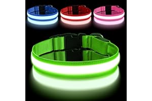 AUAUY Obroża świecąca dla psa z akumulatorem typu C i 3 trybami jasności, obroża dla psa z diodami LED, obroża świetlna dla psa dla małych / średnich i dużych psów (zielony-S)