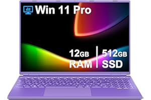 NOTODD Ordenador Portátil 16 Pulgadas Celeron N5095 Up to 2.9Ghz, Portátil Win 11 Pro 5G WiFi 12+512GB SSD Expansión 1TB, BT 4.2 Mini Puerto Multimedia Portatiles Ventilador Refrigeración 1920X1200-Morado