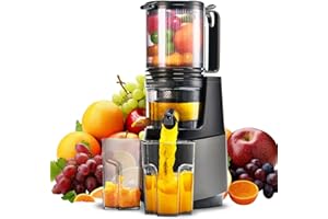 MAISON HUIS Entsafter Slow Juicer mit 13.5cm Extra Großem Einfüllschacht für Ganze Früchte und Gemüse, leicht zu Reinigen Entsafter Gemüse und Obst, Hohe Saftausbeute Juicer Machine,Grau