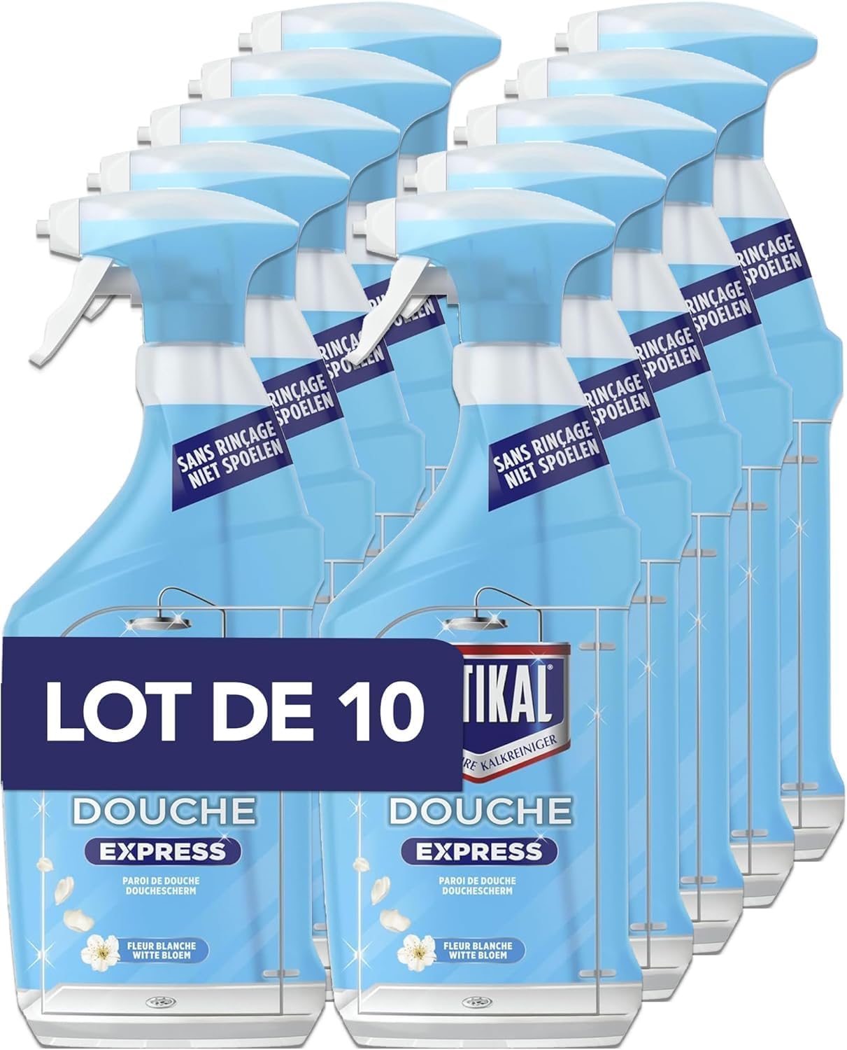 Vue 11