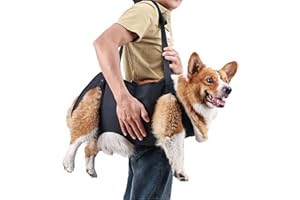 BT Bear Dog Carry Sling, Senior Dog Support & Rehabilitation Harness, Up & Down Stairs, Arthritis & Injuries (M)