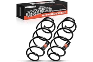 Frankberg 2x Ressorts de suspension Essieu Arrière Compatibles avec 207 WA WC 1.4L 1.6L 2006-2015 Remplacer# 5102P2