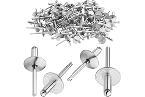 TXXATX 4,8 x 20 mm Rivet Pop Tête Large 120 Pièces Rivets Aveugles en Aluminium Argent pour Travail du Bois Ameublement Tôlerie Automobile Équipements Mécaniques et Industrie
