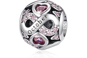 925 Sterling Silber Geburtsstein Charms Anhänger mit 5A Cubic Zirkonia Dangle Beads Charms,Openwork Perlen Liebesherz Anhänger für Pandora Europäische Charme Armband Schmuck