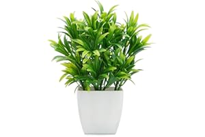 OFFIDIX Mini Plantes Artificielles Plantes en Plastique avec Vase Carré Faux Plastique Maison Plantes Vertes pour Bureau