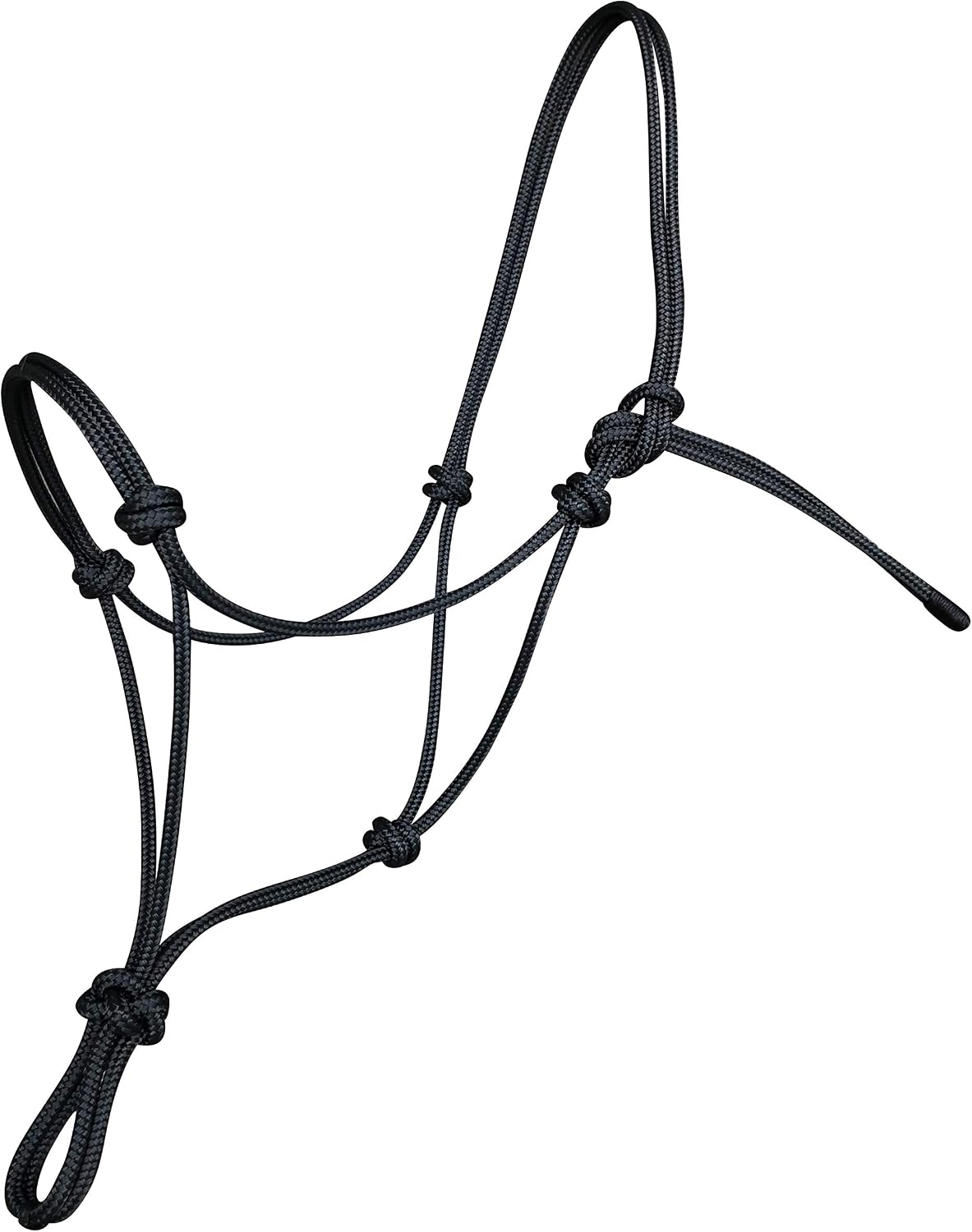 Parelli Training Natural Rope Headcollar in 11 Sizes - Miniature Foal Shetland Weaning Pony Cob Arabian Full Horse Extra Full and Draft