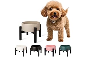PTOBER Comedero Perro Elevado de Cerámica - Cuenco para Perros Pequeños y Medianos - Plato Comida con Soporte de Acero Inoxidable - 850 ml - Gris