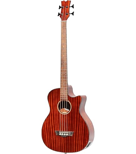 Ibanez PNB14E-OPN アコースティックベース / 新品BN弦交換済