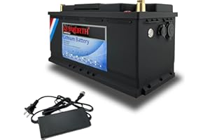 MOSEWORTH Lifepo4 Akku 12v 100ah Autobatterie mit BMS Ersetzt AGM oder Gel Aufbau Batterie für Wohnmobil, Boot, Camping oder Solaranlage - mit lifepo4 ladegerät