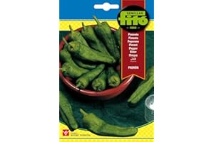 FITO Semillas Fitó 5174 - Semillas de Pimiento Padrón