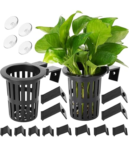 Dual Canopy Top 8 Pack Acrylic Aquarium Plant Holders - Clear Hanging Plant Pots With Holes Lawei Acrylic Hanging Aquatic Plant Pots With Holes 8 Pack