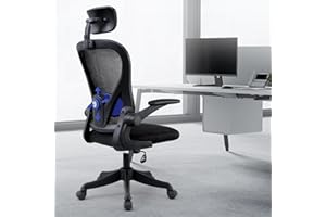 SOSINYA Silla De Oficina Ergonómica,Silla De Escritorio con Reposacabezas Ajustable, Plegable,Soporte Lumbar Ajustable,Silla Giratoria De Malla 360°,hasta 120Kg (519-BB)