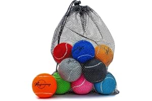 Magicorange 12 pcs Die zwölf tennishunde, 2,5 Zoll große vierbeinigen vierbeiner Spielen Ball mit einem Netz und können ihn im Farbton fangen (Deine Farben, 2.5 inch)