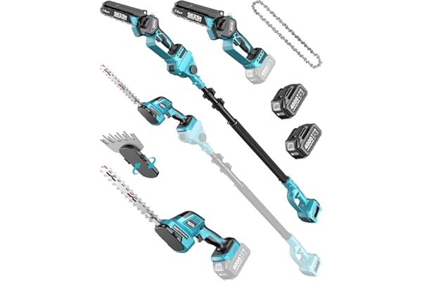 SEESII 6-en-1 Mini Tronçonneuse & Taille-haie, avec 2 * 4000mAh Batteries, Tronconneuse Electrique à Perche Télescopique, Portée Maximale Jusqu'à 4,57m, à 30 ML Bouteille d'huile