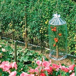 Tomatenhauben, 3 Stück, L 130 cm x Durchmesser 65 cm