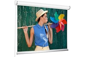 ROLLMAXXX 185 x 185 cm Rolleinwand Beamerleinwand Beamer Heimkino Projektionsleinwand 1:1