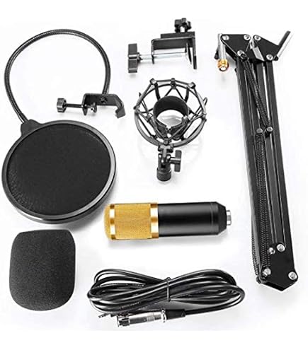 AKG C411 L: Buy Online at Best Price in Egypt - Souq is now Amazon.eg