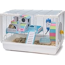 gerbil cage accessories
