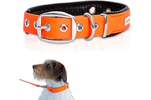 PetTec Obroża dla dużych i małych psów z Trioflex™ | odporna na warunki atmosferyczne i regulowana w kolorze | obroża dla psa w kolorze czerwonym, brązowym, czarnym i błyszczącym pomarańczowym