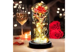 DASIAUTOEM Rose Eternelle sous Cloche, Cadeau pour la Saint Valentin,La Belle et la Bête Rose Eternelle,Rose Dôme en Verre Fleur Artificielle avec LED Lumières Cadeau pour Elle,Petite Amie,Femme,Maman