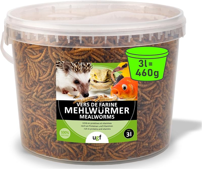 UGF - Premium Mehlwürmer Getrocknet - 460g im 3 Liter Eimer, Vogelfutter Wildvögel Ganzjährig, Igelfutter, Eichhörnchen Futter, Hamster Futter