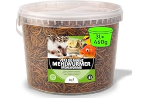 UGF UNDERGROUND FOOD UGF - vers de Farine séchés de qualité supérieure - 460 g en Seau de 3 litres, Nourriture pour Oiseaux Sauvages Toute l'année, Nourriture pour hérissons, écureuils et Hamsters
