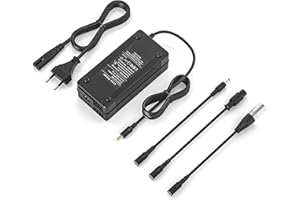 NATNO 54.6V 2A Chargeur Trottinette Electrique pour Kugoo M4/M4 Pro, Chargeur Hoverboard 48V Trottinette Batterie avec 3 Connecteurs pour Gotrax G2 G3 G4, Evercross H5, Hitway H5, UrbanGlide E-Cross Pro