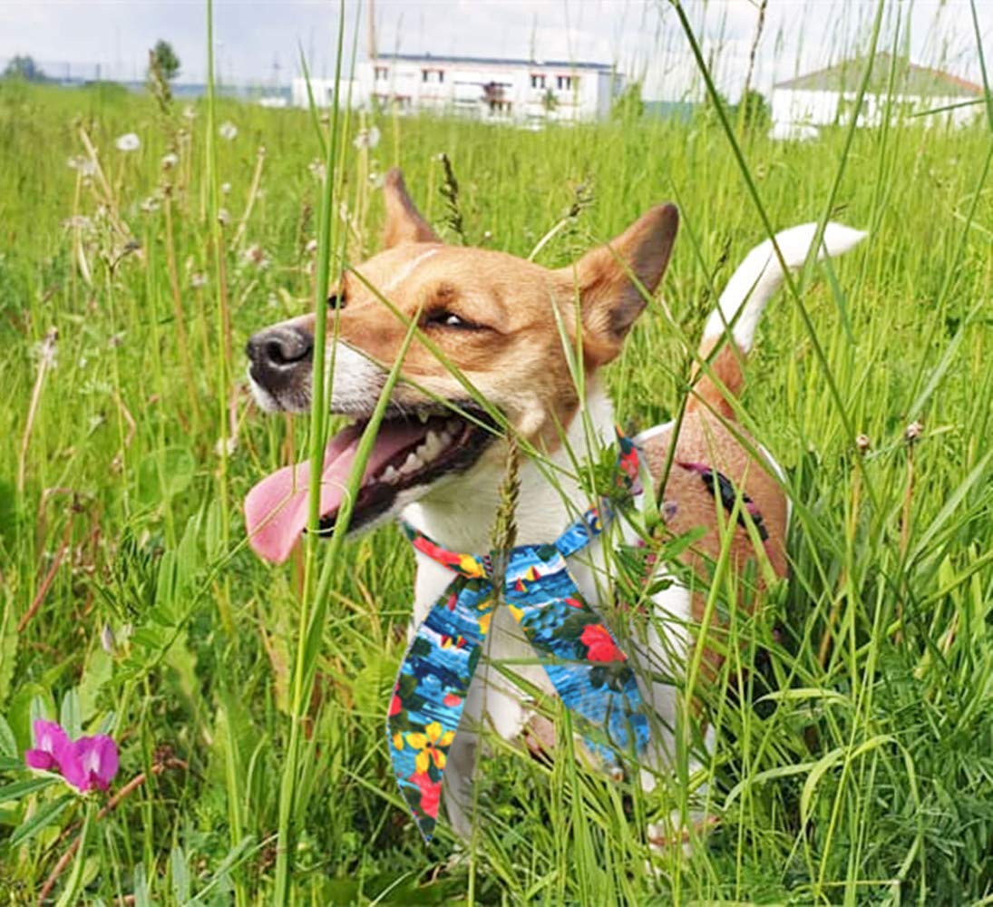 Dog Cooling Bandana, 4 Pack Cool Collar for Dogs Chill Out Ice Bandanas