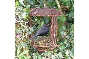 Wildlife World Simon King Open Nest Buddy