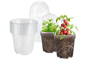 trabag Lot de 10 Pot Plastique Plante avec Couvercle, 10cm Pot OrchidéE Transparent, Ronds, en Plastique Transparent, pour Plantes Grasses, Graines, Semis