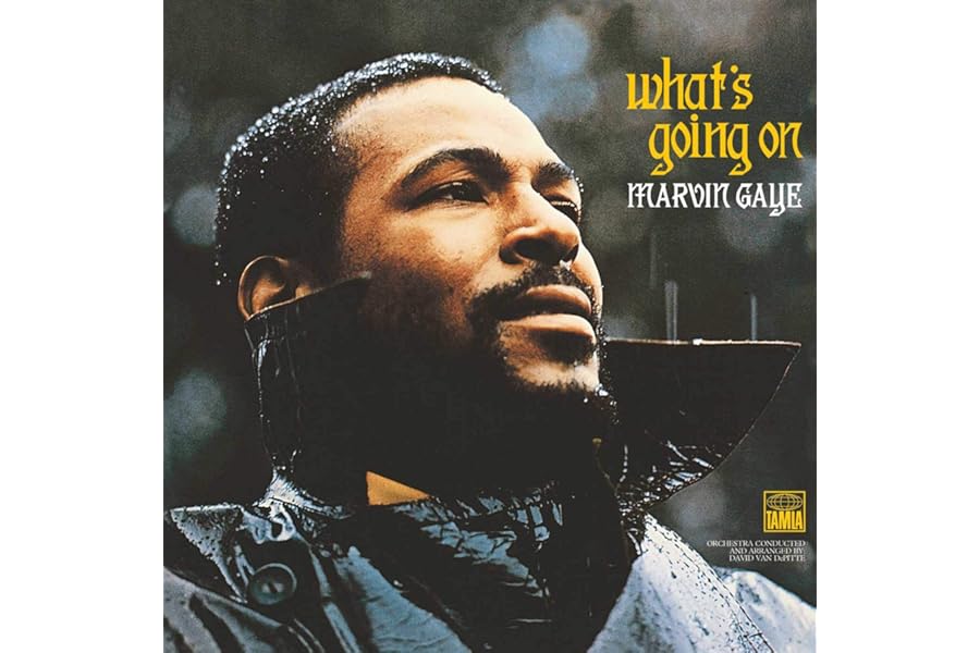 What's Going On [VINYL]