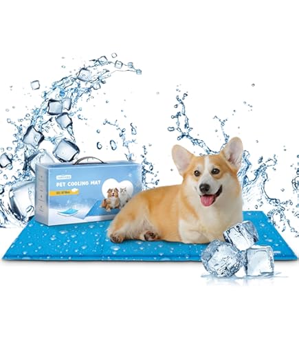 Fuente De Agua Fria Para Perros Bebedero Refrescante Para Perros