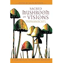 71Fdd9o53AL._AC_UL210_SR210,