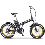 Nilox E Bike X3, Fat Bike Elettrica A Pedalata Assistita, 20”, 36V/250W –  Adulto, Nero, Taglia Unica : Sport e tempo libero