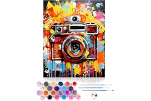 CEOVR Paint by Numbers for Adults,Abstract DIY Paint by Numbers Kits,Colorful Camera Paint by Numbers for Adults Beginners,40x50 cm Paint by Number Canvas,All Kits Included,Frameless