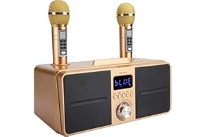 ASHATA Przenośny zestaw mikrofonów do karaoke z podwójnym mikrofonem bezprzewodowym, Bluetooth 4.2, karta pamięci, AUX, dysk flash USB do domowej karaoke, spotkania, imprezy, kościoła itp. (złoty)