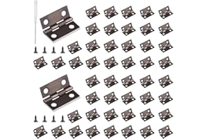 Roosea Hinge Mini Antique Pack of 60 Small Folding Hinges Metal with Screwdriver and 240 Screws for Wooden Box Jewellery Box Cabinet, 15 mm x 18 mm, Retro