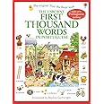 First Thousand Words in Portuguese (Usborne First Thousand Words)