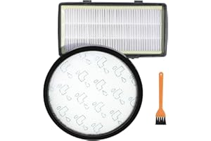 LRFDRESS Filtres de remplacement pour aspirateur Rowenta cyclonic X-Trem Power RO6941EA RO6951EA RO6963EA RO6971EA RO6984EA RO6993EA (RO69xxEA) (OEM) ZR006001, filtre HEPA et préfiltre