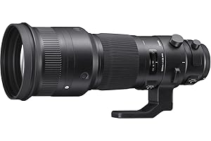 Sigma F4 DG OS HSM Sports - Objetivo para cámara para réflex (500 mm), Negro