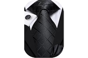 Dubulle Mens Tie Paisley Jacquard Silk Solid Ties for Men Pocket Square Cufflinks Set for Wedding Business