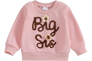 PanLidapan Kid Toddler Baby Girl Fall Spring Clothes Big Sister Sweatshirt Jumper Newborn Little Sister Romper