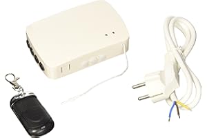 FP-TECH - Centralina di Gestione Senza Fili Adatta a Motori Elettrici per Tapparelle Tende da sole… (Telecomando Da Esterno)