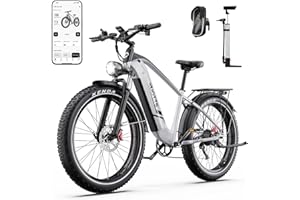 DUOTTS F26 Lite Bicicleta Eléctrica para Adultos, 26 x 4,0 Pulgadas Fat Bicicletas Eléctricas de Montaña, Ebike 250W con Batería 48V 18Ah y Autonomía de hasta 140 km, Frenos Hidráulicos Dobles